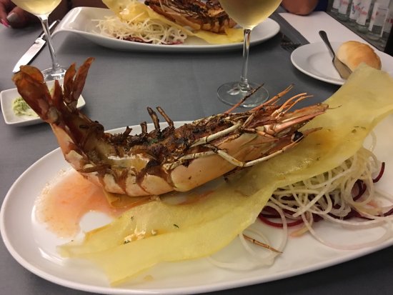 gastronomia 2 gastronomia 2