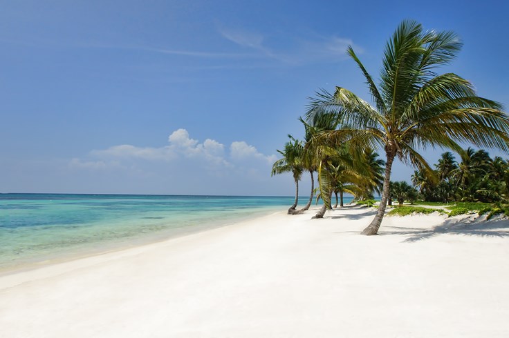 Tortuga Bay beach