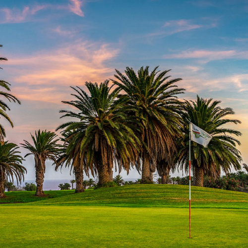 Costa Teguise Golf OK