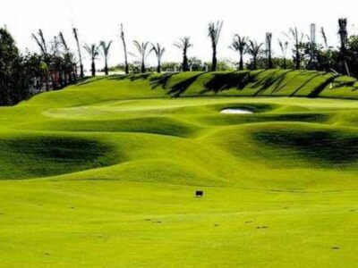 Iberostar Playa Paraiso Golf