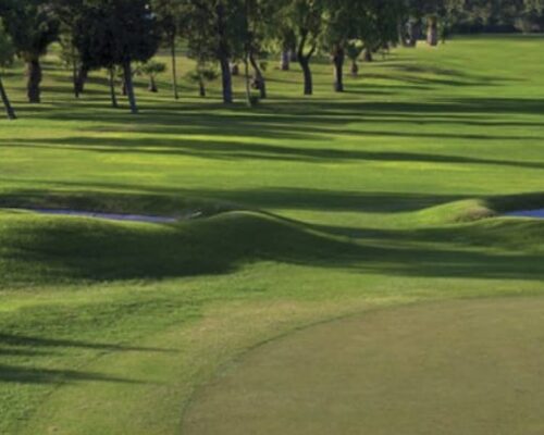 Royal MAlta Golf Club 2