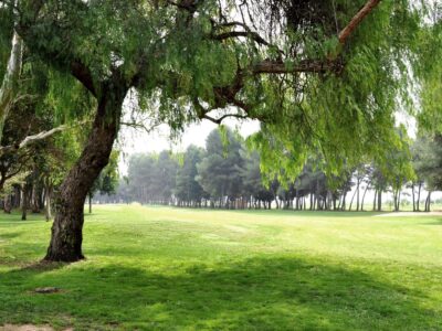 MANISES GOLF MANISES GOLF